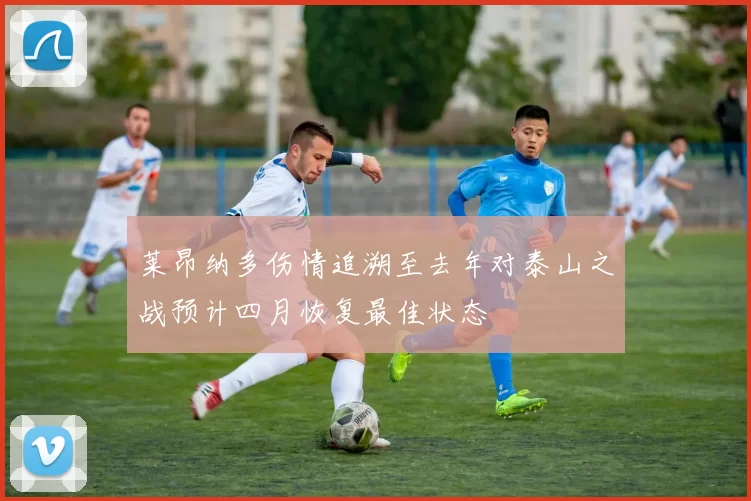 莱昂纳多伤情追溯至去年对泰山之战预计四月恢复最佳状态