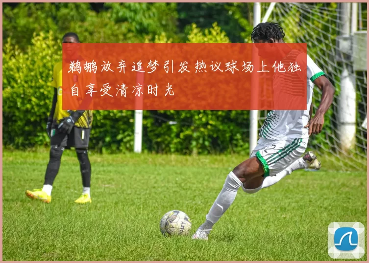 鹈鹕放弃追梦引发热议球场上他独自享受清凉时光